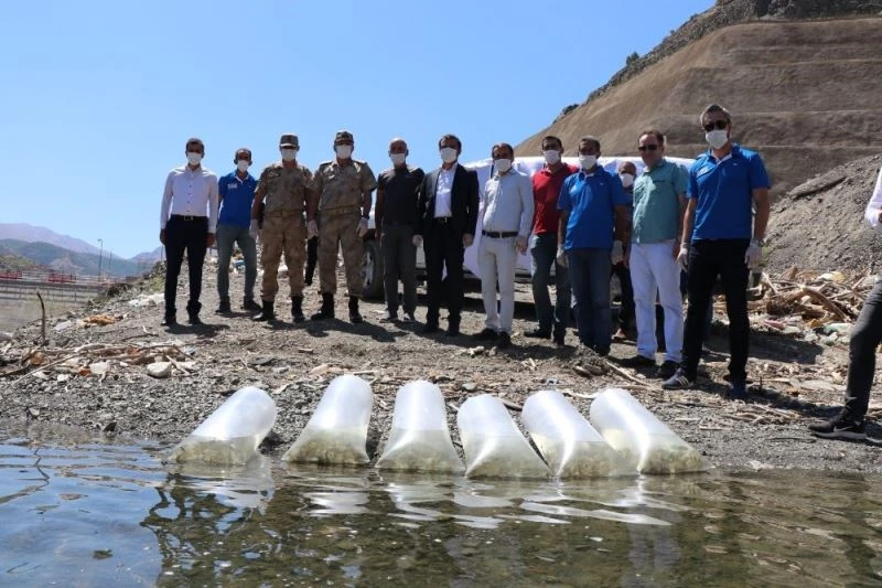 Beyhan Barajı’na 50 bin sazan yavrusu bırakıldı

