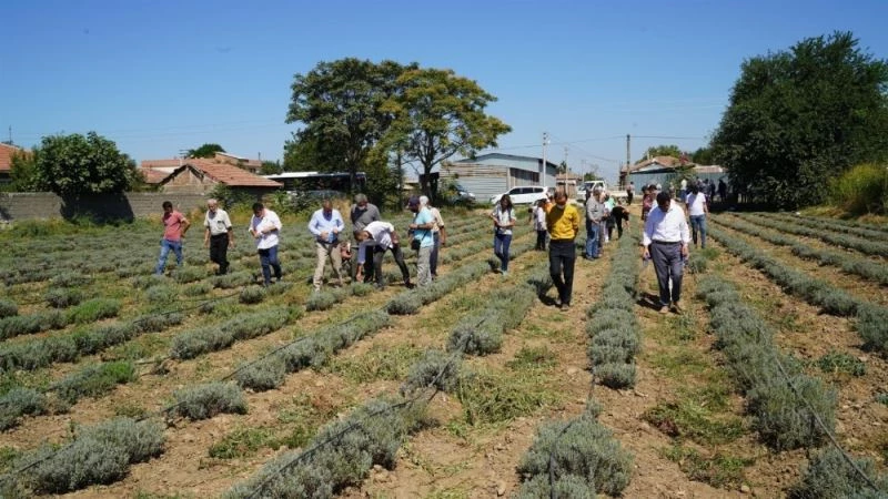 Balıkesir Büyükşehir üreticileri yatırımcılarla buluşturuyor
