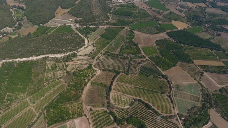 Denizli Honaz Ovasında 2. kısım sulaması tamamlandı
