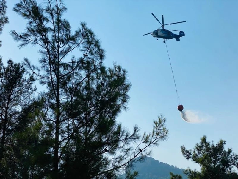 Kayacı Vadisi’nde çıkan yangında 1 hektar ormanlık alan etkilendi
