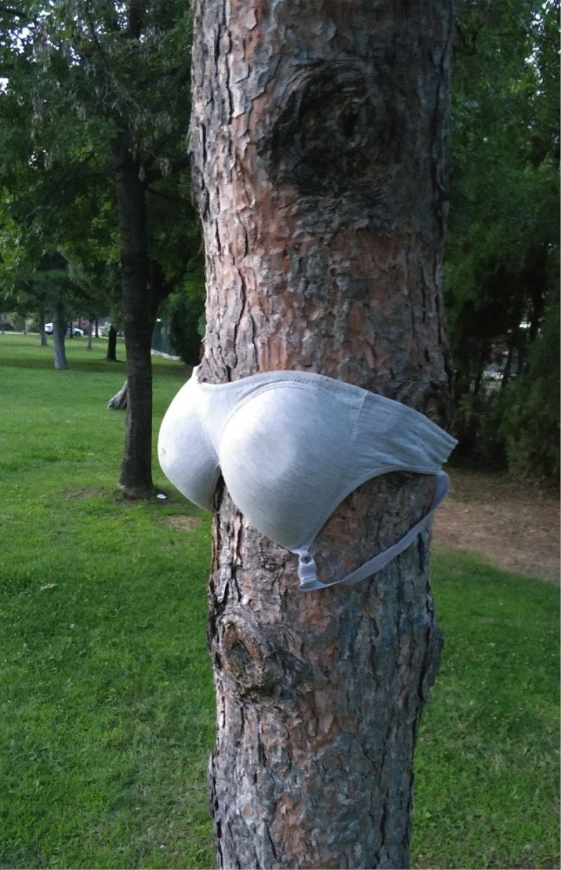 Parktaki ağaçlara kadın iç çamaşırı asılması tepki çekti
