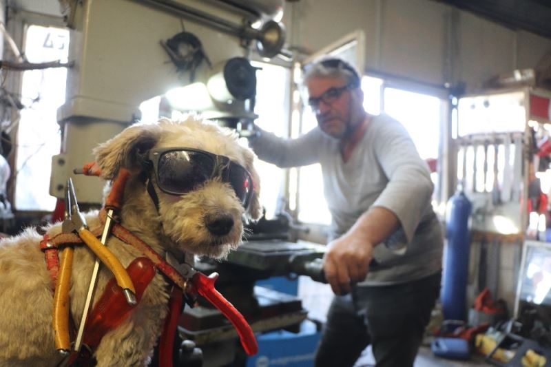 40 yıllık motor ustasının en büyük yardımcısı ’Kafe’ isimli köpeği
