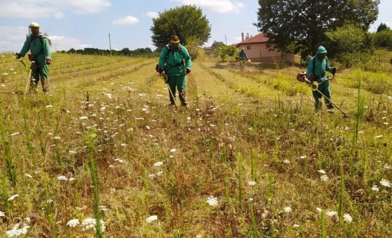 İzmit’te otlar temizlenerek görsel kirlilik önleniyor
