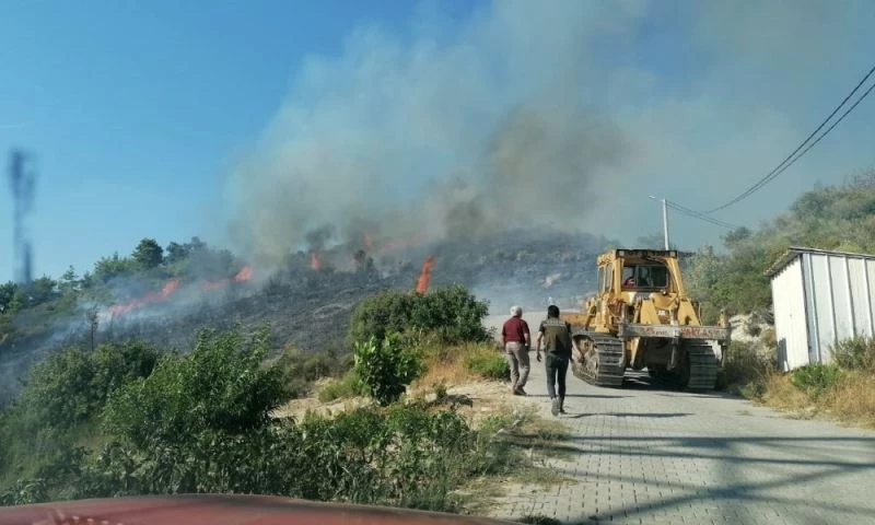 Manavgat’taki yangında zeytin ağaçları zarar gördü
