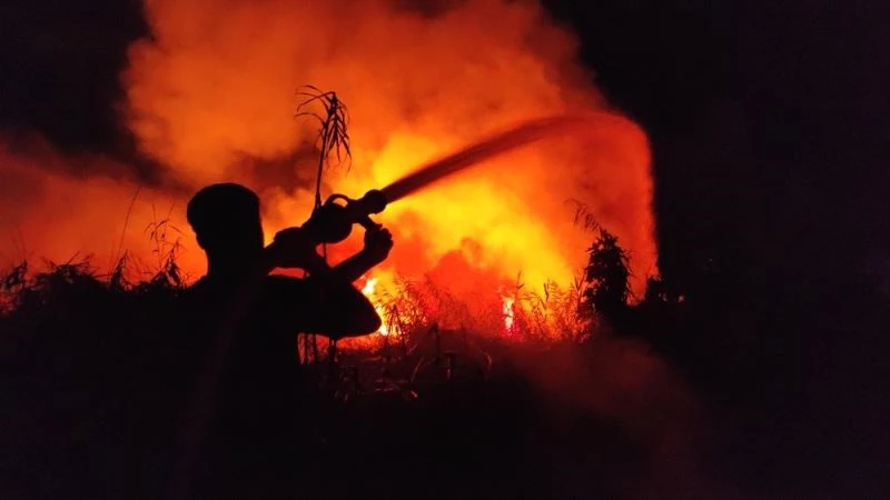 Kamışlık alandaki yangın korkuttu
