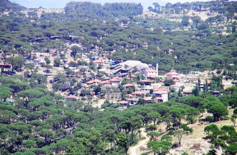 Aydın’da iki mahalleye giriş çıkışlar kapatıldı
