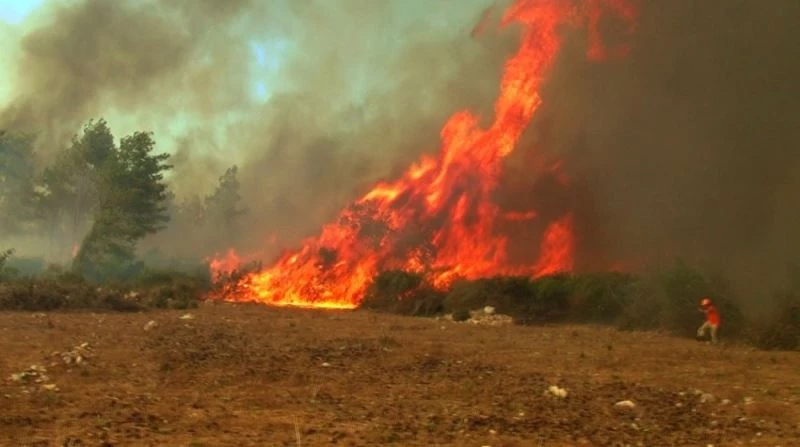 Orman yangınında çıkan hortumun arasında kalan ormancılar o anları anlattı
