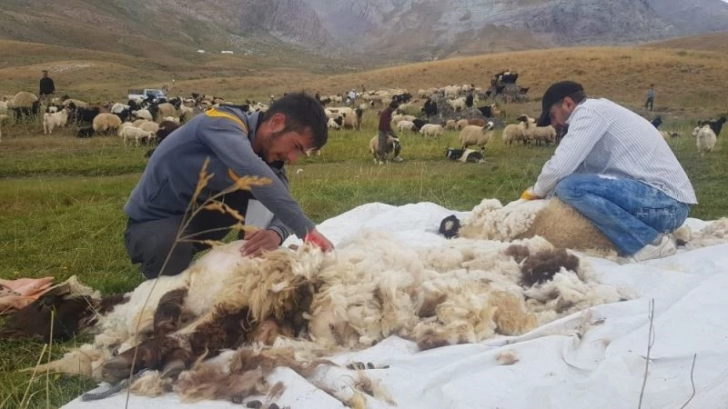 Hakkarili yaylacılar elektrik istiyor
