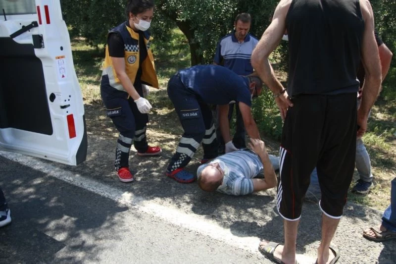 Lastiği patlayan fırın aracı zeytinliğe uçtu: 1 yaralı
