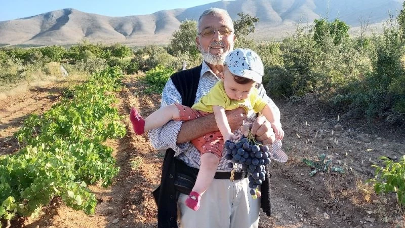 Tarlada izin olsun, yemeye yüzün olsun
