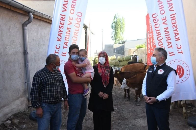 Ahırı yanan çiftçiye buzağı ve yem desteği
