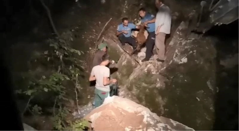Kayalara sıkışan keçiyi 1 saatte kurtardılar
