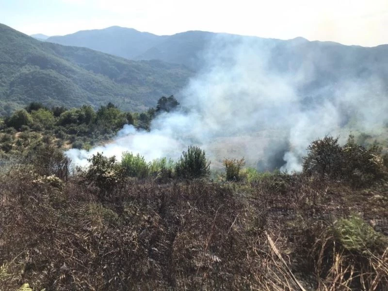 Anız yakarak 6 dönümlük araziye zarar verince cezalandırıldı
