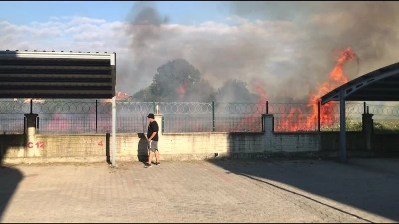 Düzce’de fındıklık alev alev yandı
