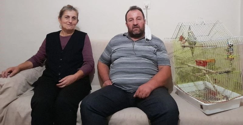 Kayıp papağanını getirene bin lira ödül verecek
