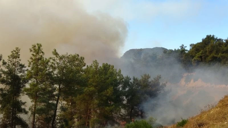 Yangında sabotaj soruşturması genişliyor, gözaltı sayısı artabilir
