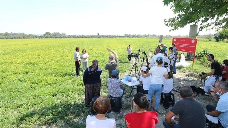 Osmaniyeli çiftçilere Ayşehanım yerfıstığı çeşidi tanıtıldı

