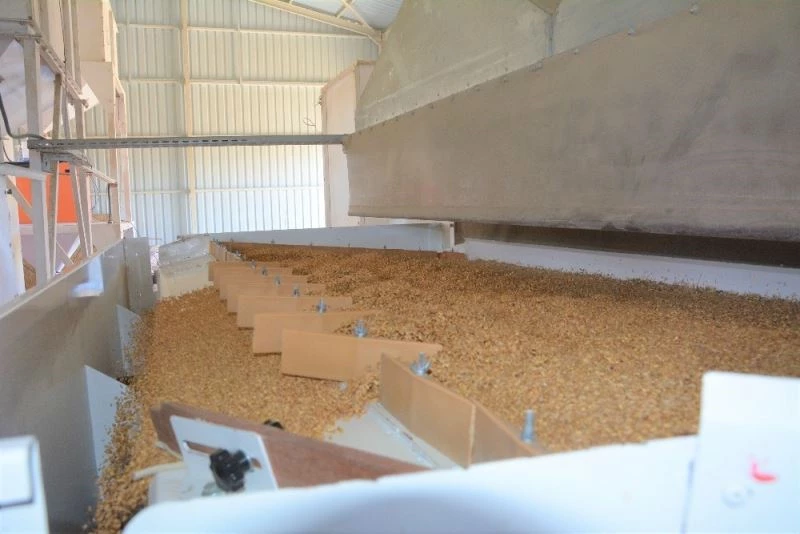 Akyurt Tohum Eleme Tesisi 856 ton hububatı işledi
