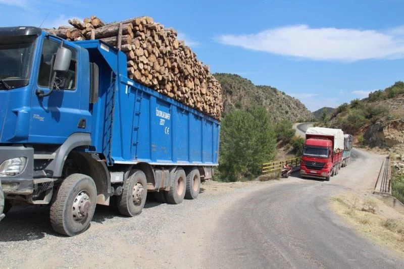 Kaymakam Pişkin, tonaj uygulamalarını denetledi
