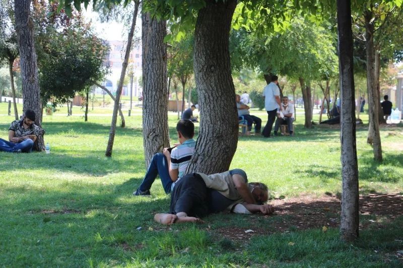 Şanlıurfa’da çöl sıcakları etkili oluyor
