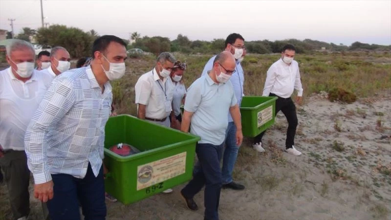 Uydu takip cihazı takılan kaplumbağalar denize bırakıldı