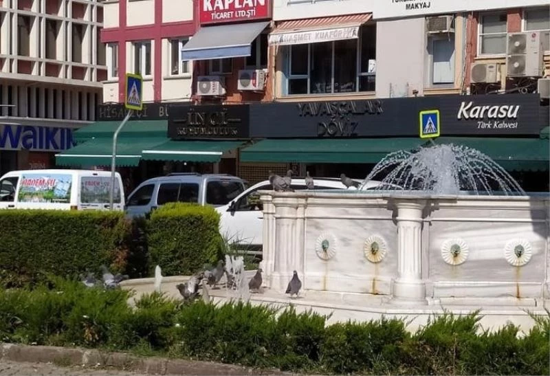 Balıkesir’de hava sıcaklığı sokak hayvanlarını bunalttı
