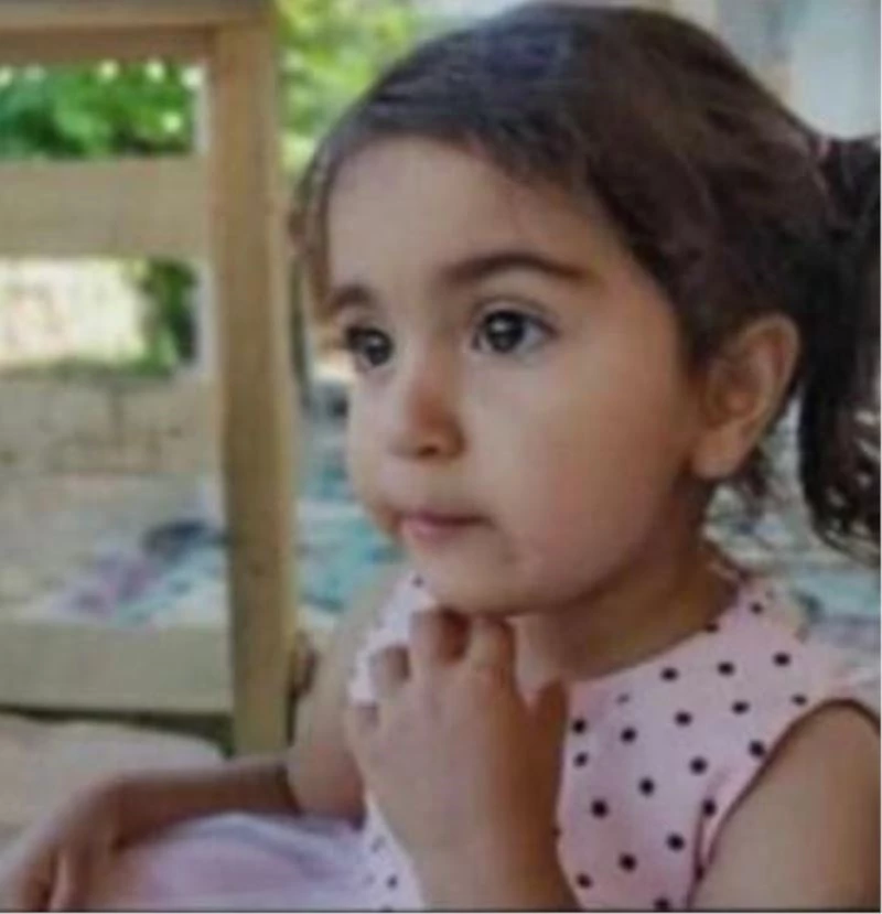 Küçük kızın cansız bedenini çoban buldu
