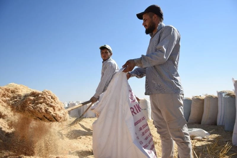 Saman işçiliğinden uçak mühendisliğine
