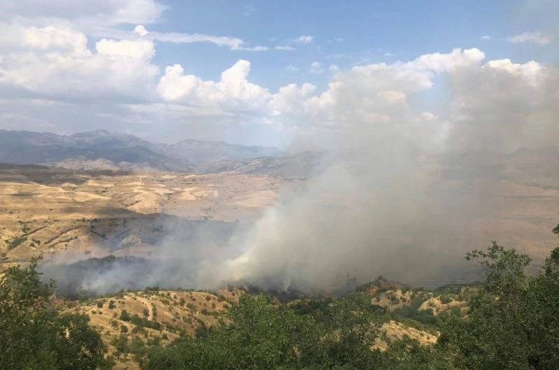Siirt’te dumanlar gökyüzünü kapladı, köylüleri korku saldı
