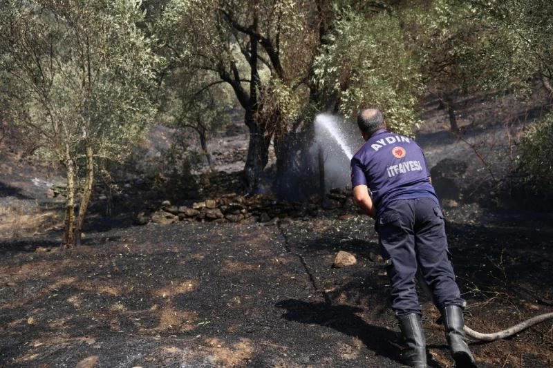 İtfaiye Daire Başkanı Adanır; 