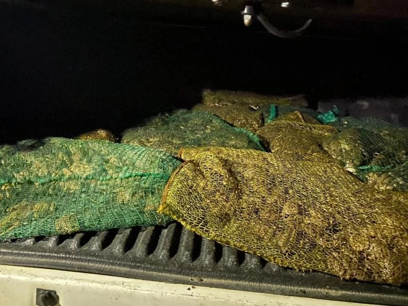 İdil’de kaçak kurbağa toplayanlara 737 bin lira ceza
