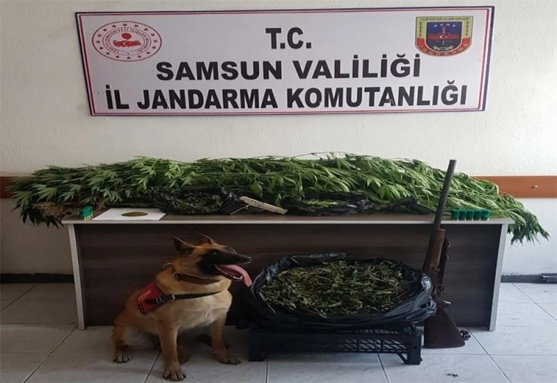 Uyuşturucu tacirleri 
