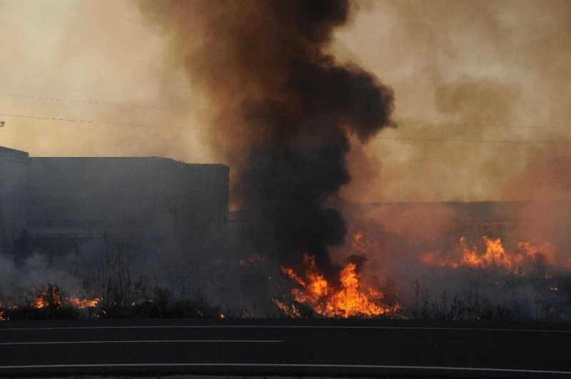 Sigara izmariti tarlayı küle çevirdi, tır dorselerini vatandaşların duyarlılığı kurtardı
