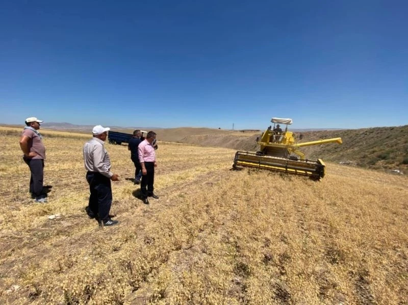 Pursaklar’da tohumlar mahsule döndü
