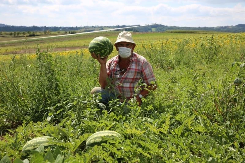 Kandıra Karpuzu ağızları tatlandırıyor
