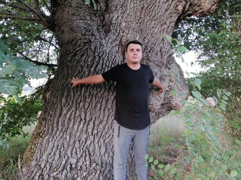 500 yıllık ağacı görenler şaşırıyor
