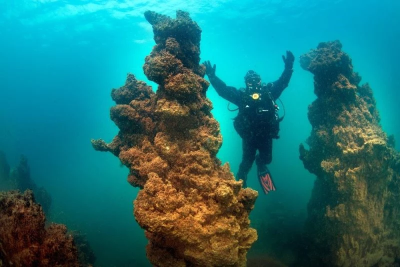 Van Gölü’nün sırları film oldu
