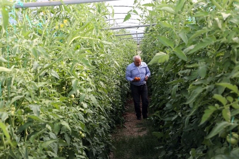 Üreticiler dijital pazarla buluşacak
