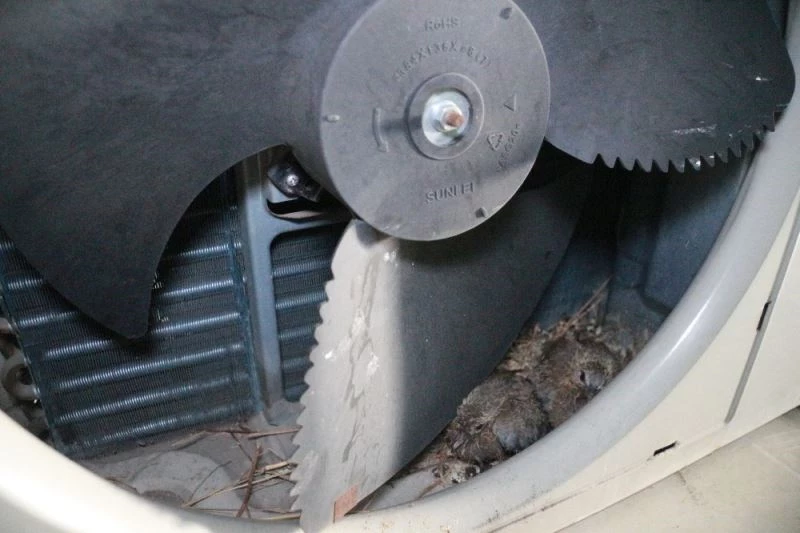 Tamir etmek için getirdiği klimanın içinden çıkanları görünce şoke oldu
