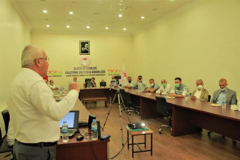 Yılda 110 bin ton bal üretiyoruz, 80 binini tüketiyoruz
