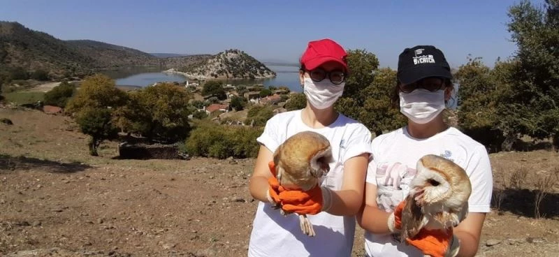 Peçeli baykuşlar Serçin’in sembolü oldu
