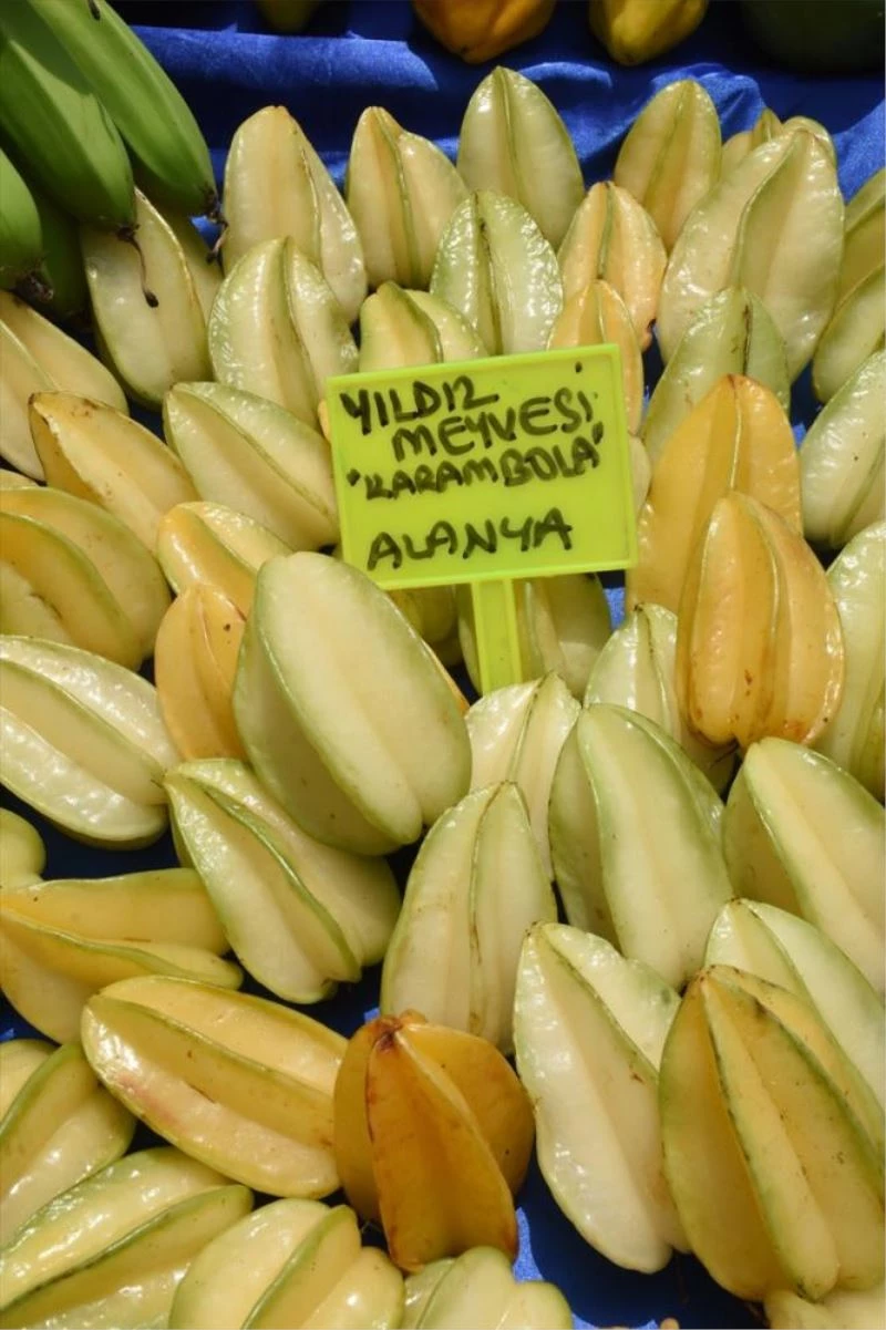 Tropikal meyve Alanyalı üreticinin kazanç kapısı oldu