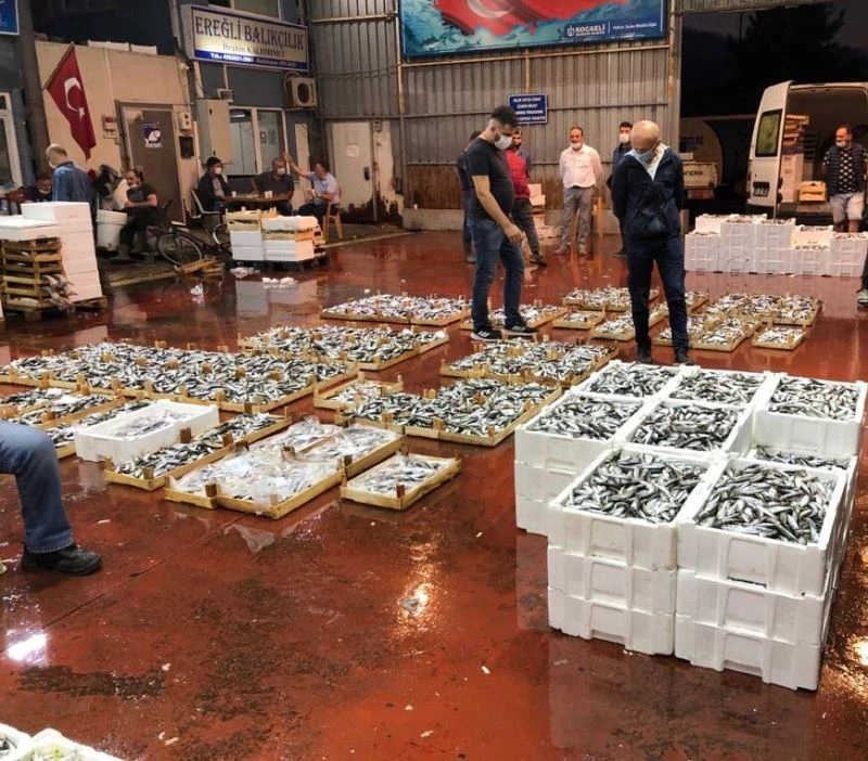 Kocaeli balık halleri bereketli av ile açıldı
