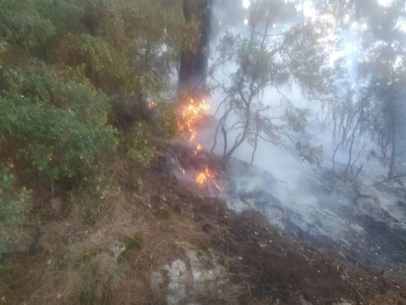 Çöplükte çıkan yangın ormana sıçradı
