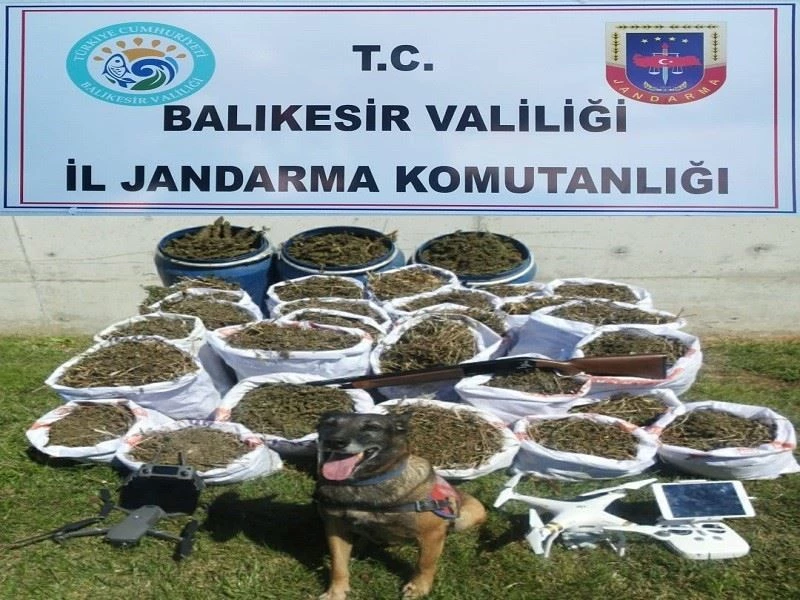 Ayvalık’ta jandarma 318 kilo kubar esrar ele geçirdi
