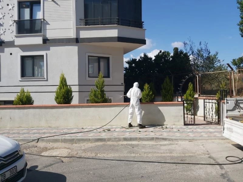 Gebze Belediyesi ‘dantel böceği’ne karşı mücadelesini sürdürüyor.
