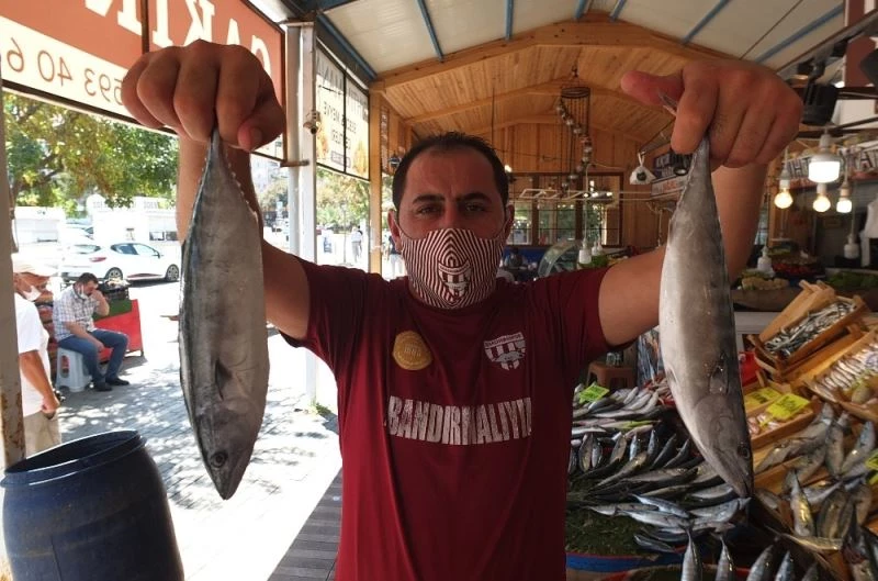 (Özel) Denizlerin kralı tezgahların hükümdarı oldu
