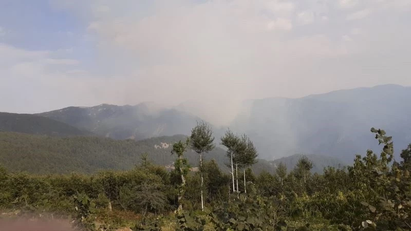 Amanoslarda orman yangını
