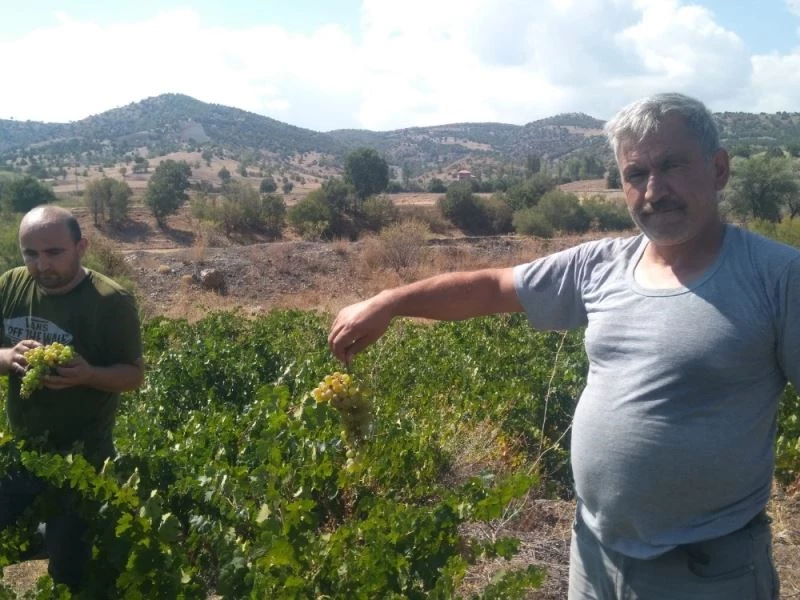 Yozgat’ta pekmez kazanları kaynamaya başladı
