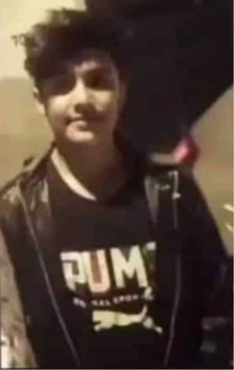 Kaplumbağayı ezmemek için canından oldu
